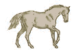 cheval009.gif (13542 octets)