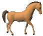 cheval023.gif (6192 octets)