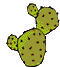 nature_cactus001.gif (10607 octets)