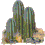nature_cactus007.gif (18861 octets)